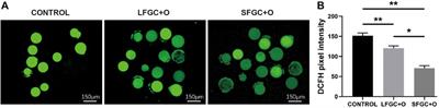 Granulosa Cells Improved Mare Oocyte Cytoplasmic Maturation by Providing Collagens